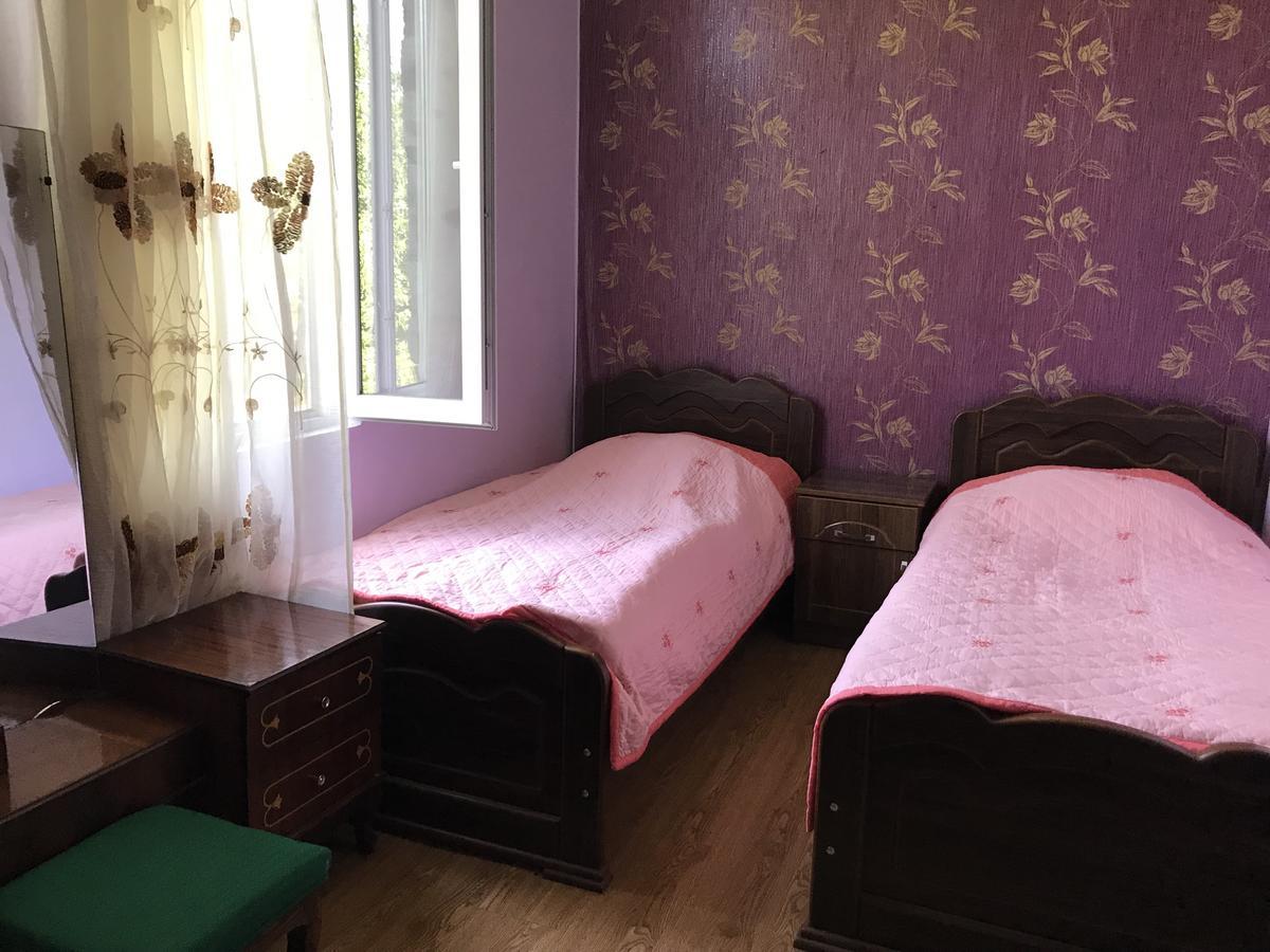 Hotel Chveni Ezo à Ambrolaouri Extérieur photo